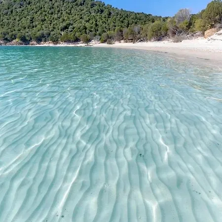 Willa Ocean Pearl Olbia