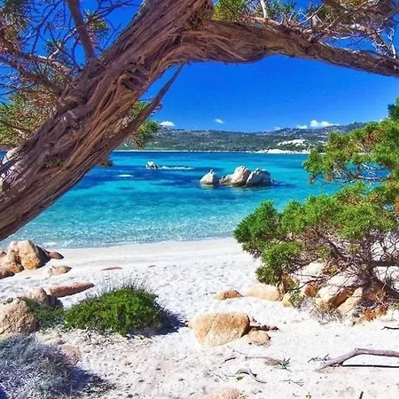 Willa Ocean Pearl Olbia